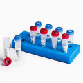 Quanti-Cult Plus Candida albicans ATCC® 10231