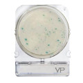 Compact Dry VP - Vibrio Parahaemoliticus